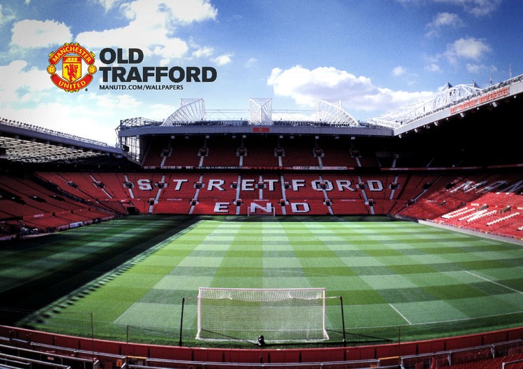 实际上反映 实际上反映