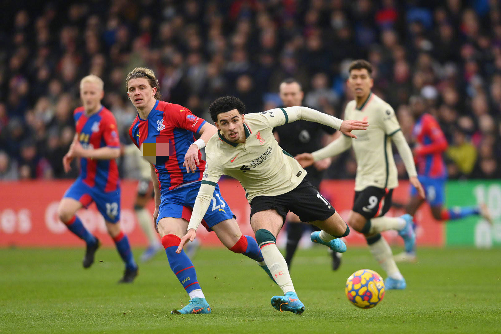 被视为热门 被视为热门